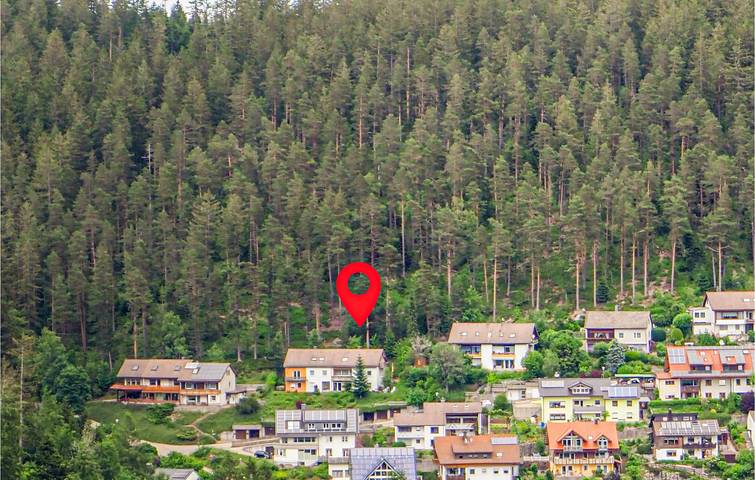 Gîte pour 4 personnes, avec jardin et terrasse dans Schonach (Ville) - 2