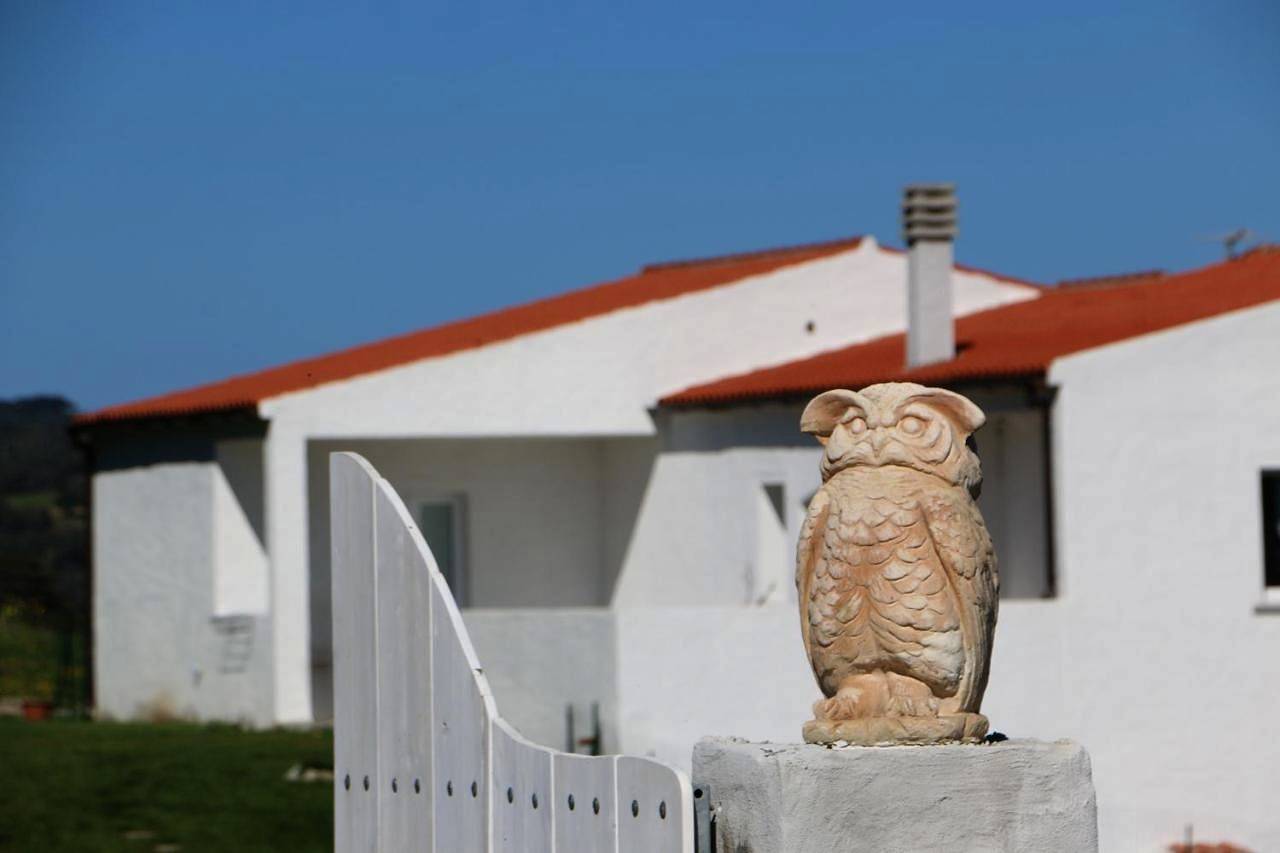 Bnb Anacleto in Luogosanto, Gallura