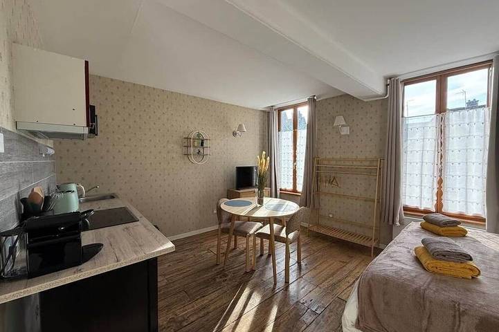 Ganze Wohnung, Le Cocon de la Trinité (T22) in Troyes, Aube
