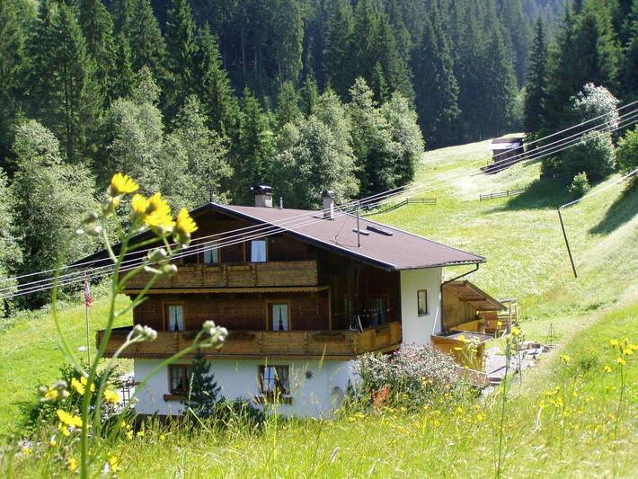 Ferienwohnung für 4 Personen, mit Balkon in Wildschönau - 2
