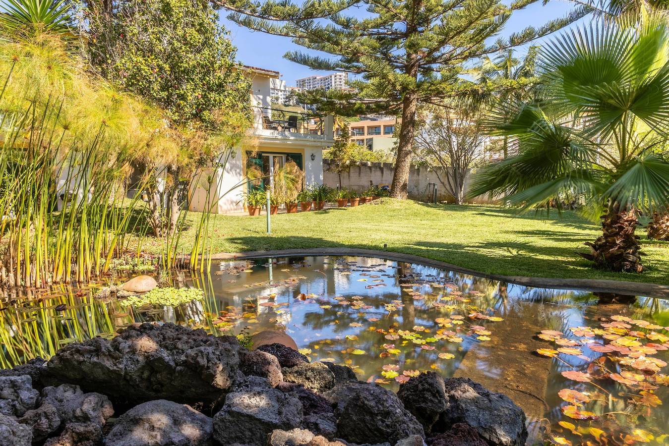 Apartamento entero, Apartamento "Villa Echium T1" con un dormitorio y jardín compartido in Caniço, Isla de Madeira