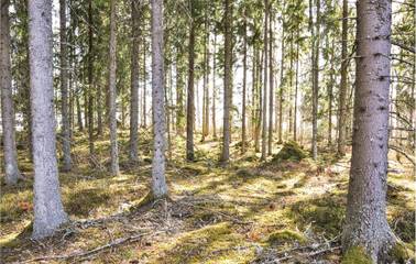 Ferienhaus für 6 Personen in Storfors, Mittelschweden, Bild 4