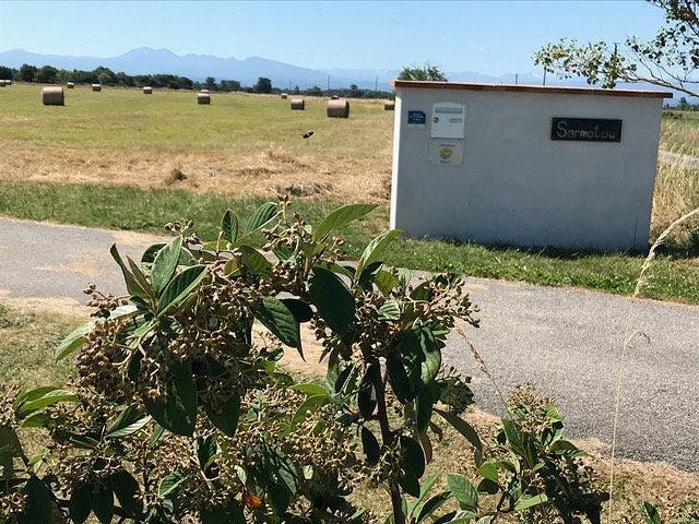 Gîte pour 4 personnes, avec jardin et terrasse à Mazères - 4