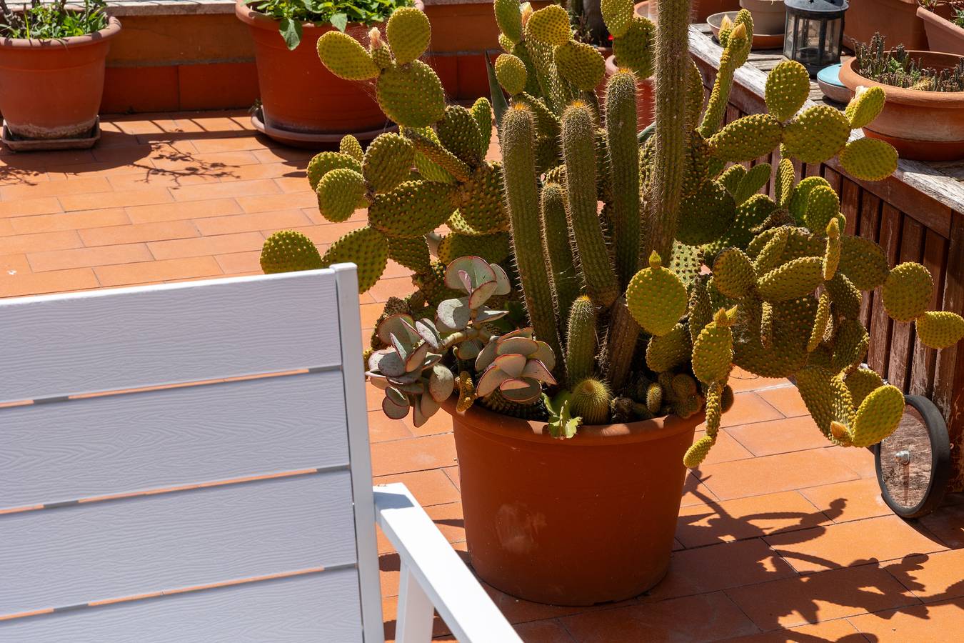 Geheel appartement, Le terrazze di Minerva in Primavalle, Rome