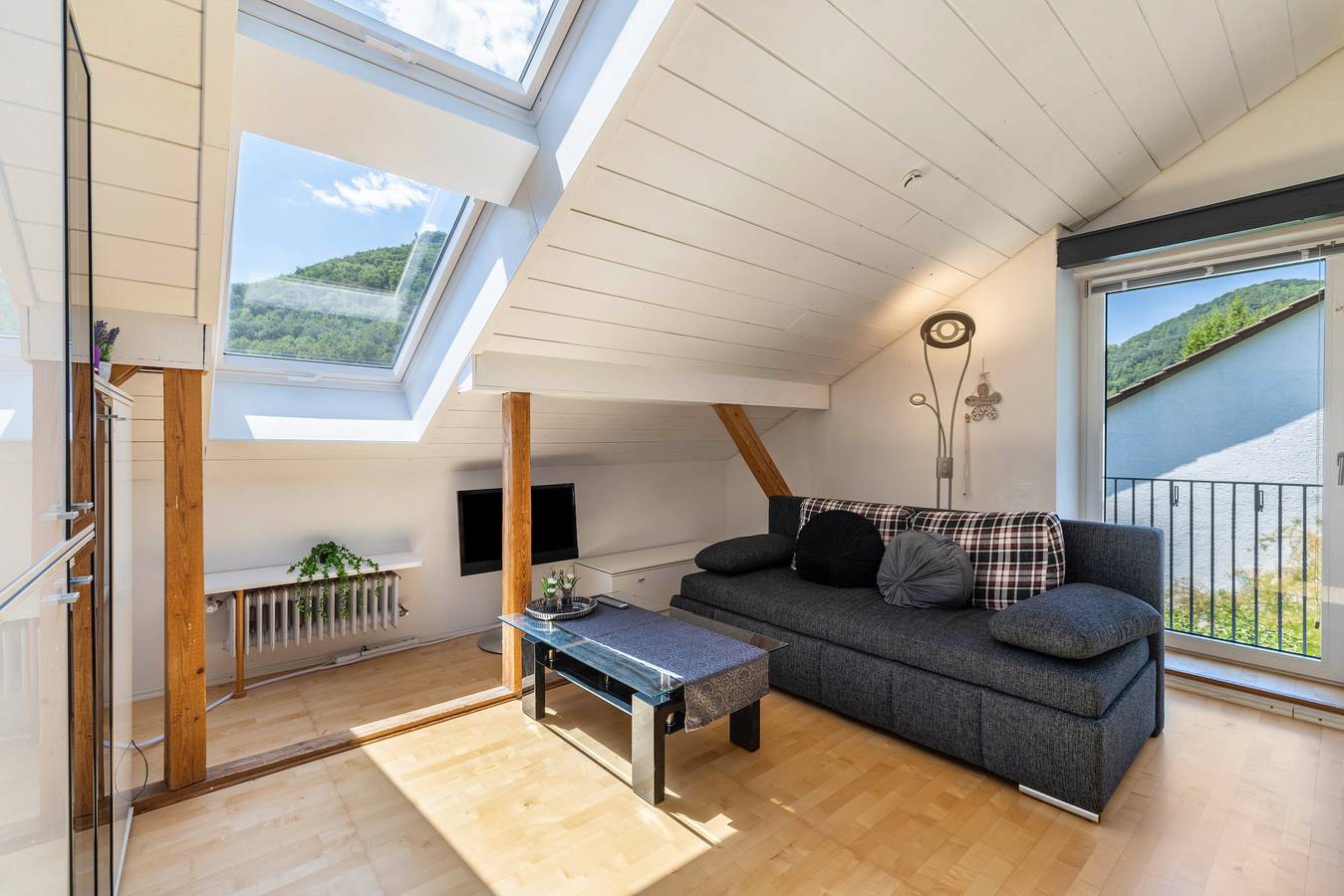 Ganze Wohnung, Panorama Loft - Höhenfreude! in Lichtenstein (Stadt), Lichtenstein