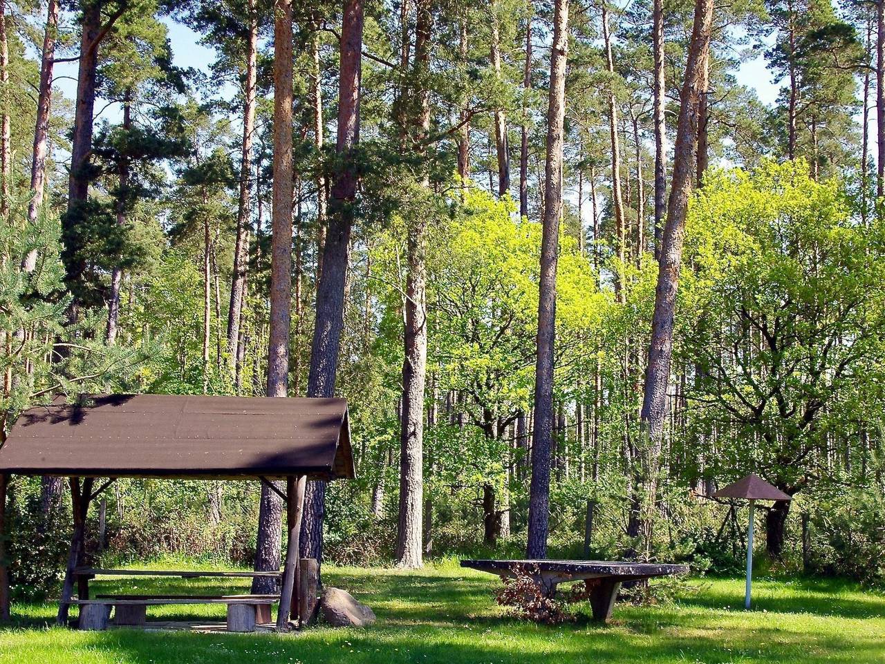 Ferienhaus Am Wald in Malchiner See, Basedow