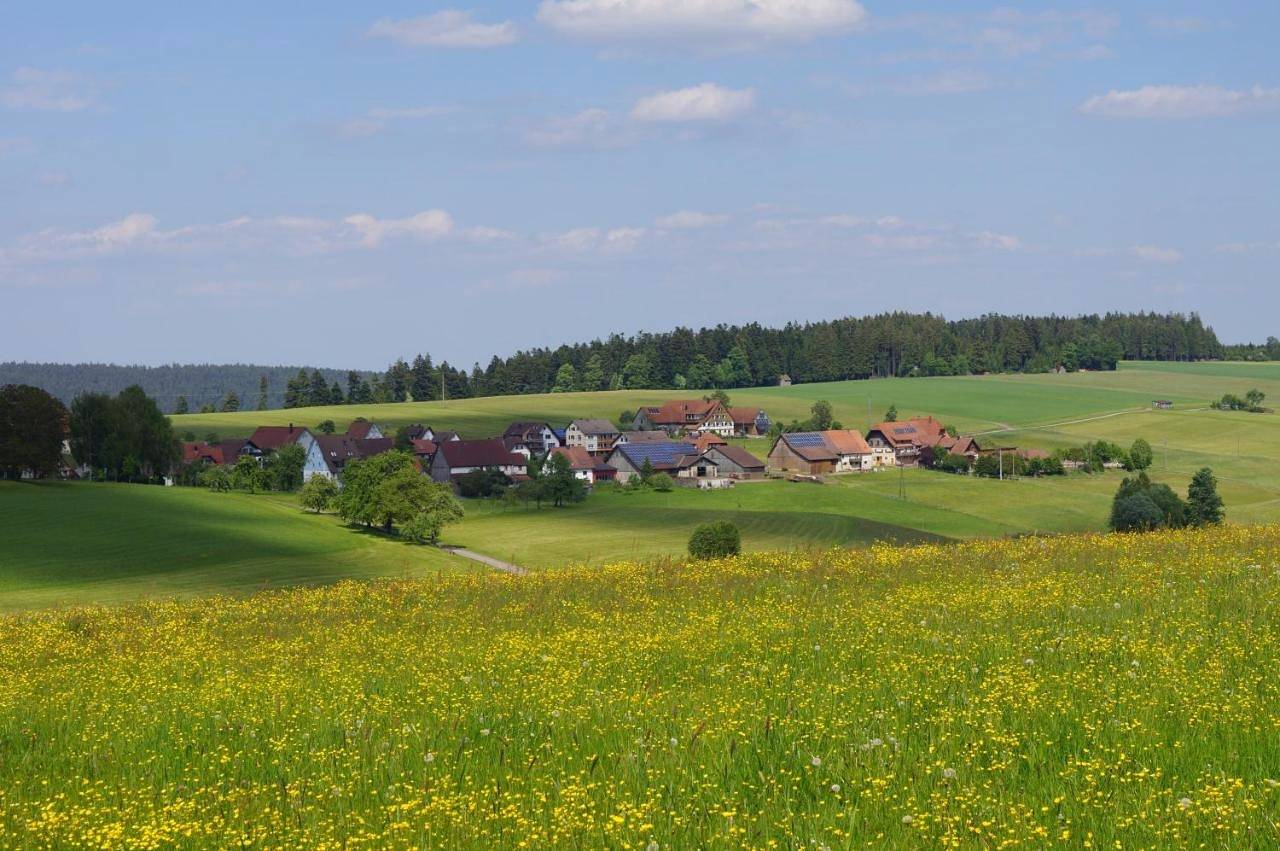 Single Room with Shared Bathroom in Freudenstadt, Forêt Noire du Nord