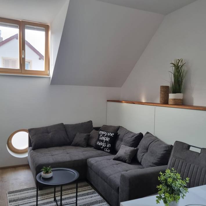 Ganze Ferienwohnung, Ferienwohnung 5 "Weißherbst" in Neustadt an der Weinstraße, Pfälzer Rheinebene