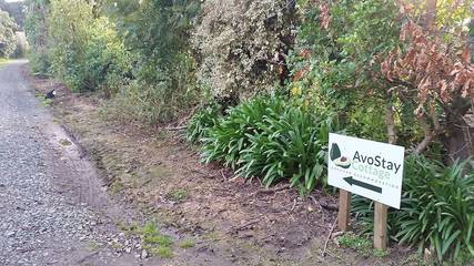 Cottage for 5 People in Northland, New Zealand, Photo 3