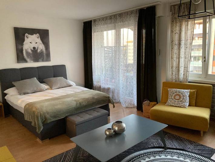 Gîte pour 2 personnes, avec balcon ainsi que vue et piscine, animaux acceptés à Fribourg - 4