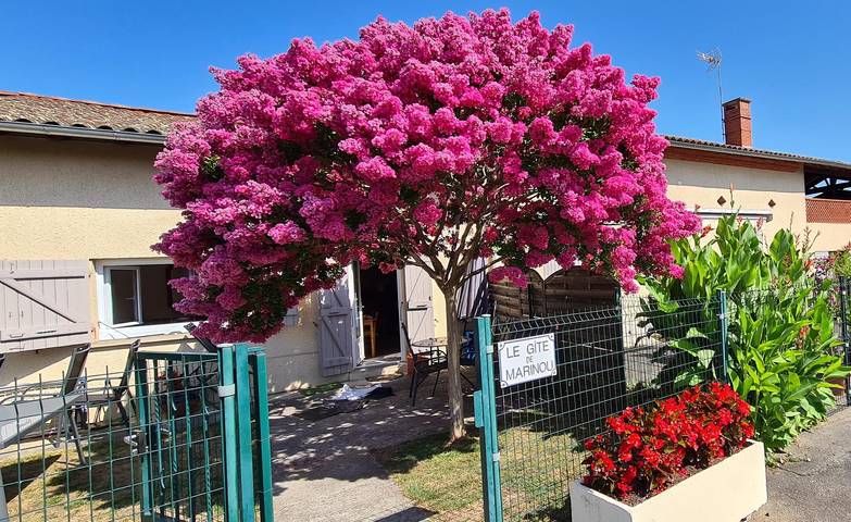 Gîte pour 5 personnes, avec jardin dans Haute-Garonne - 4