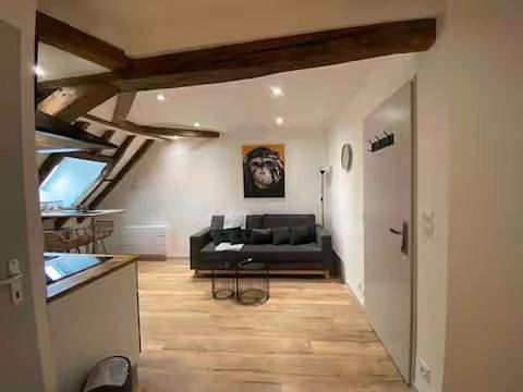 Gîte pour 4 personnes, avec terrasse et jacuzzi dans Musee Du Berry Bourges - 3