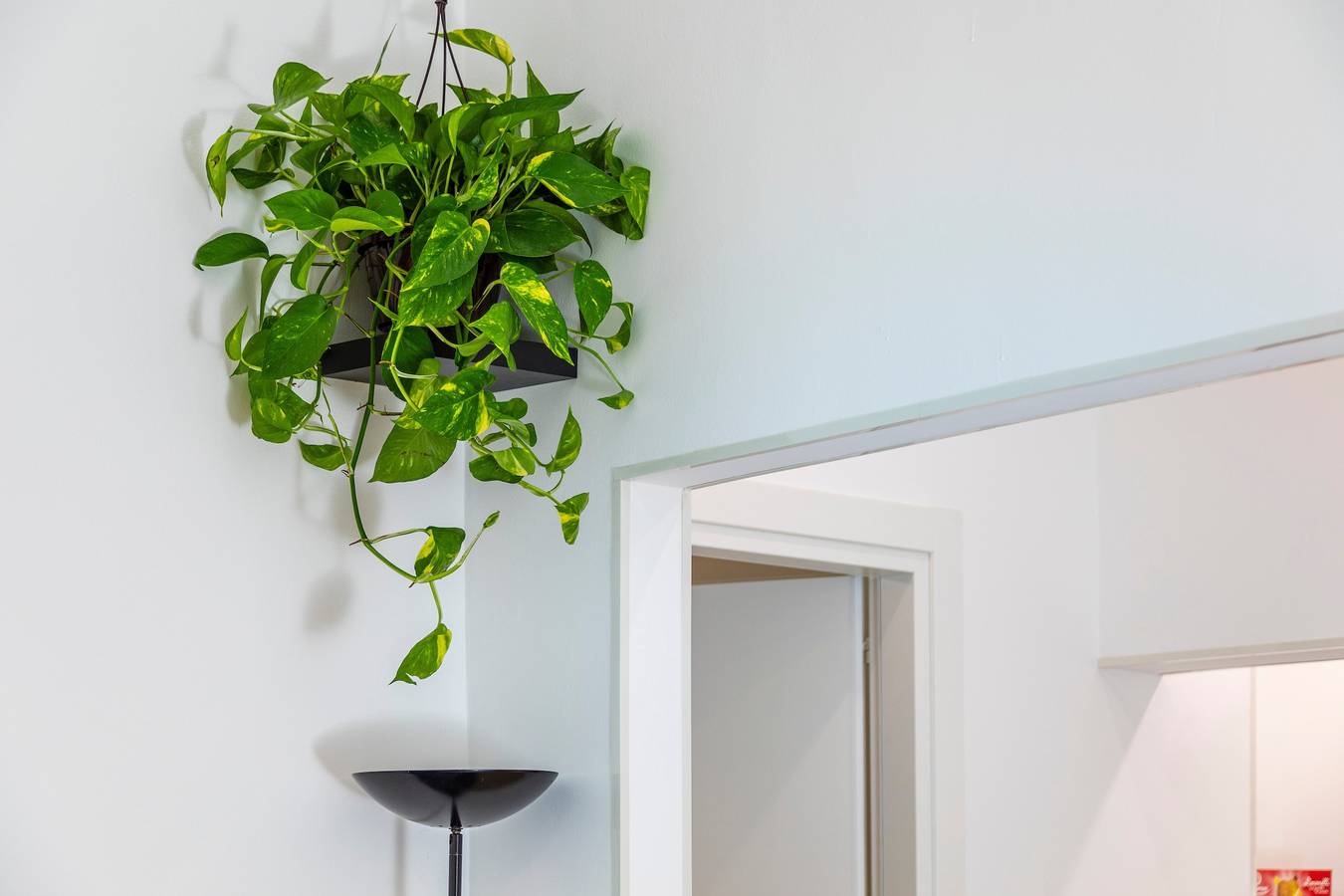 Appartement 'Good Vibes Home' met Balkon, Wifi en Airconditioning, foto 8