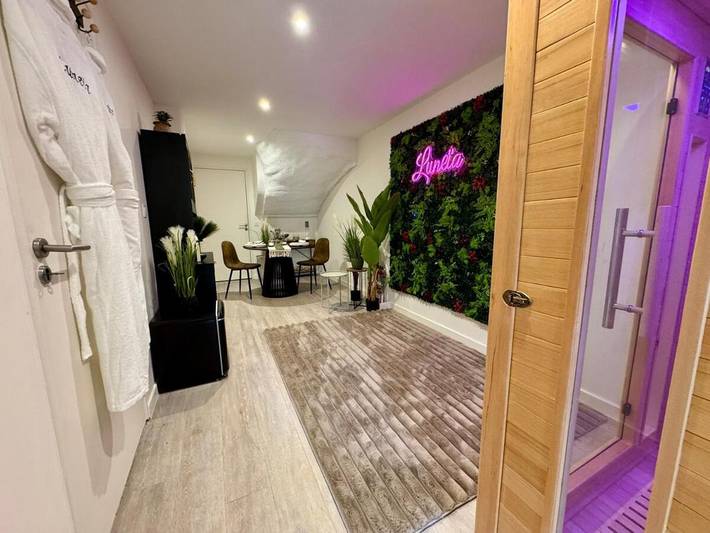 Gîte pour 2 personnes, avec terrasse ainsi que jacuzzi et sauna, animaux acceptés à Chavanod - 3