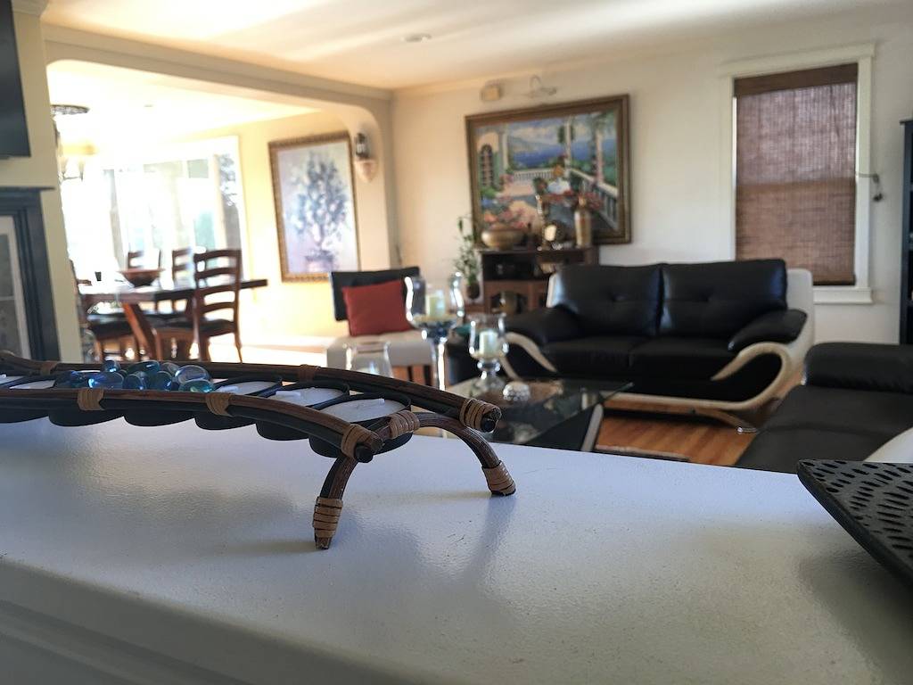 Sparkling Clean 2Bd House mit Blick in die Nähe von Boeing, Amazon & Major Hospitals in SeaTac, King County