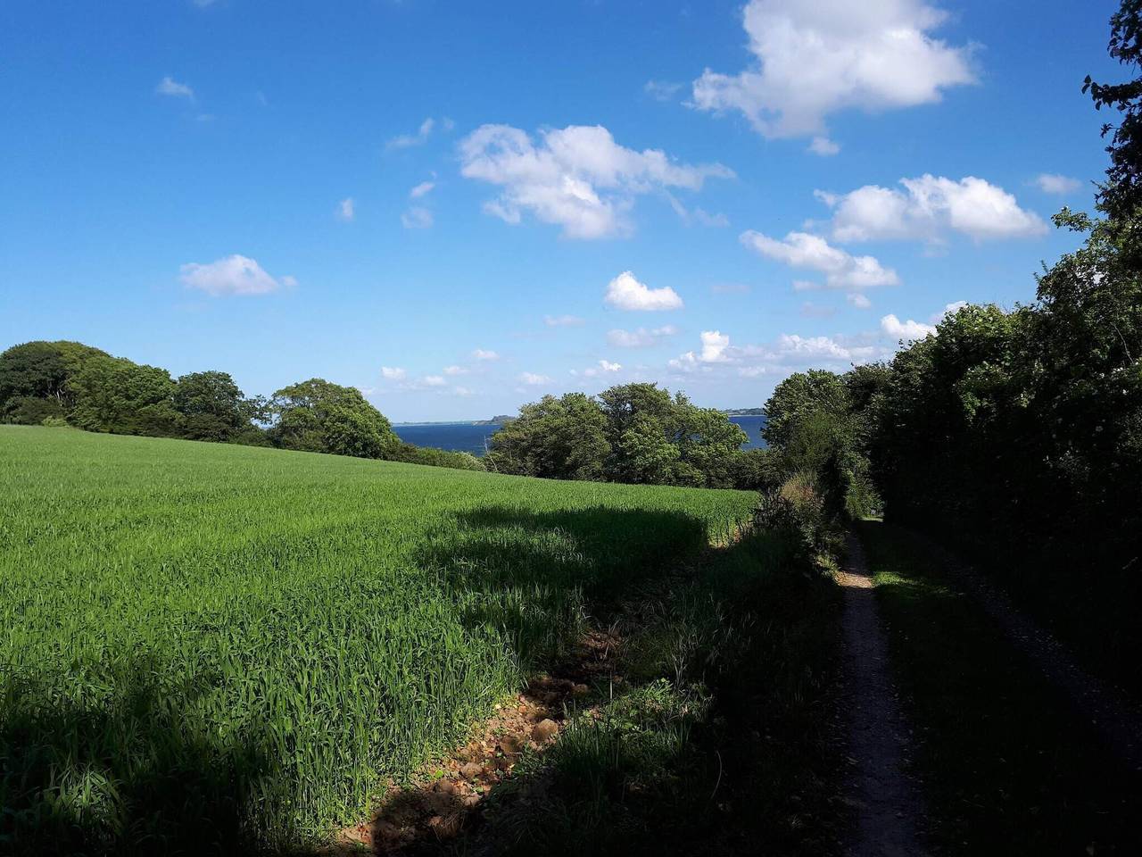 8 Personen Ferienhaus in Aabenraa-By Traum in Skarrev, Apenrade