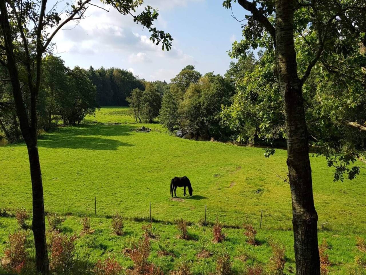 4 person holiday home in Ansager-By Traum in Ansager, Varde Region