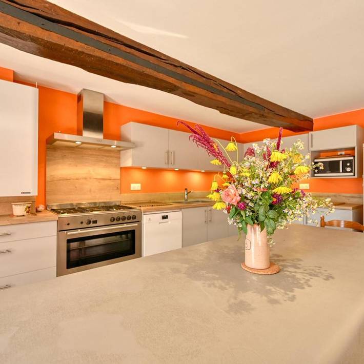 Maison de campagne pour 19 personnes, avec terrasse et vue, animaux acceptés - 1