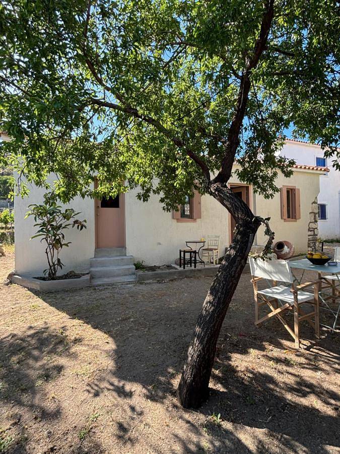 Location de vacances pour 6 personnes, avec jardin dans Σκάλα Ερεσού - 2