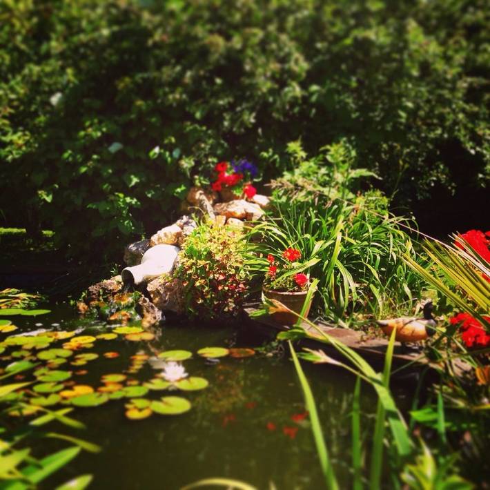 Chambre d’hôte pour 4 personnes, avec jardin et vue dans Lamballe-Armor - 3