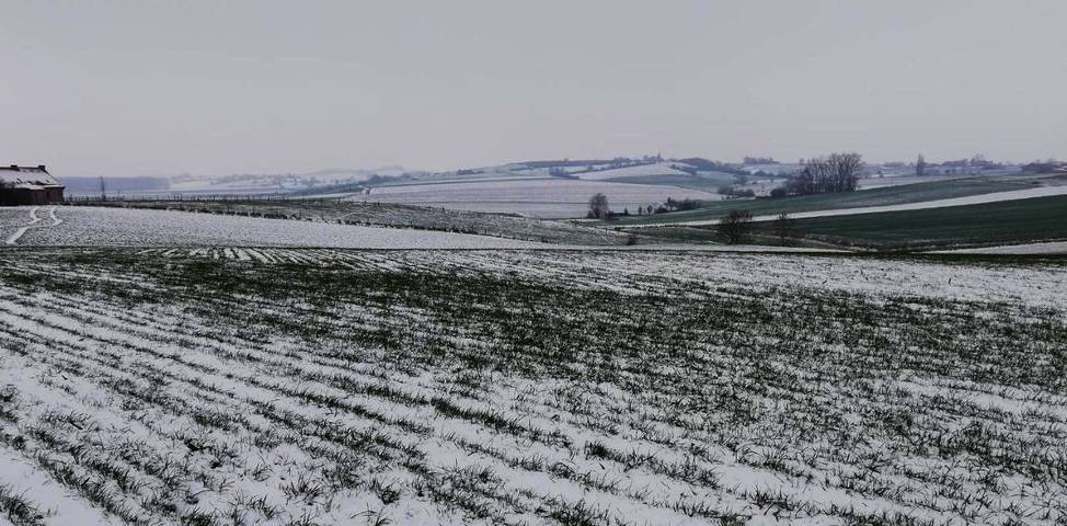 Gîte pour 2 personnes, avec vue et jardin, adapté aux familles à Heuvelland - 2