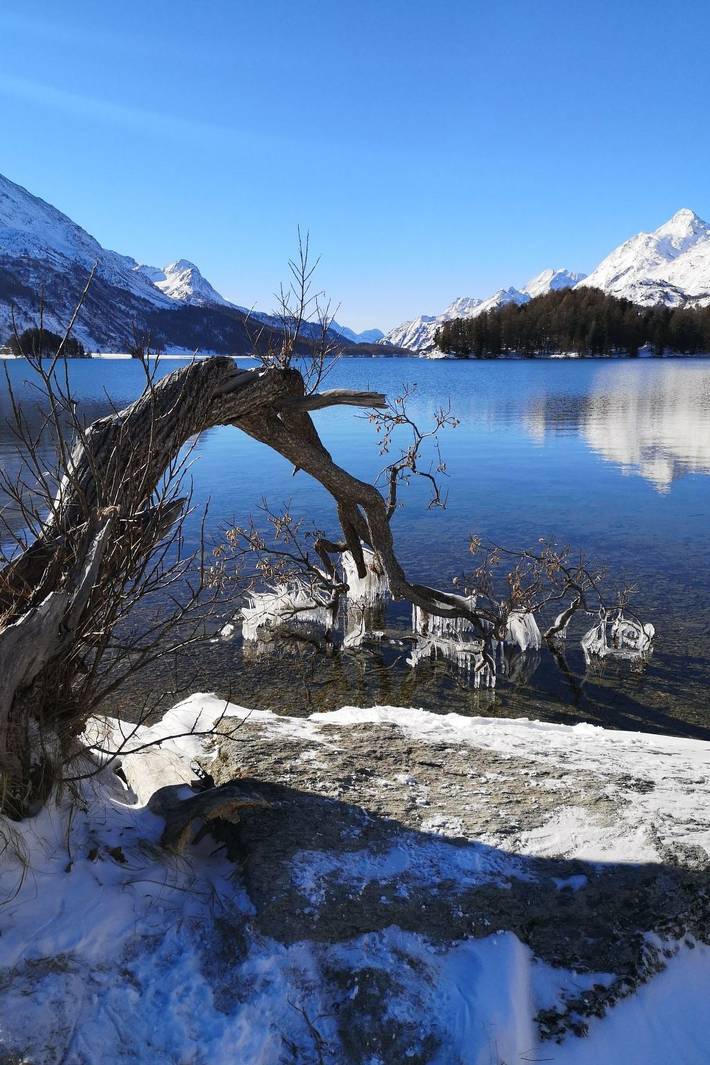 Ferienwohnung für 2 Personen, mit Garten in Sils im Engadin/Segl - 2
