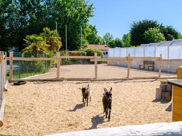 Camping pour 5 Personnes dans La Terrière, La Tranche-sur-Mer, Photo 4