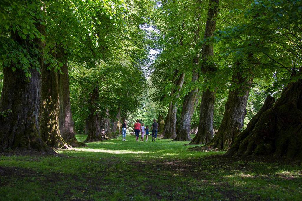 Domaine Les Bachats in Rhodes (Moselle), Sarrebourg