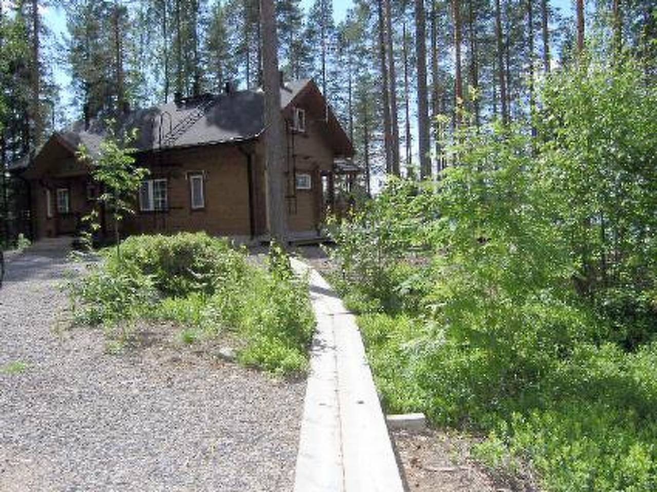 Puolukka in Eräkorpi, Nord-Savo