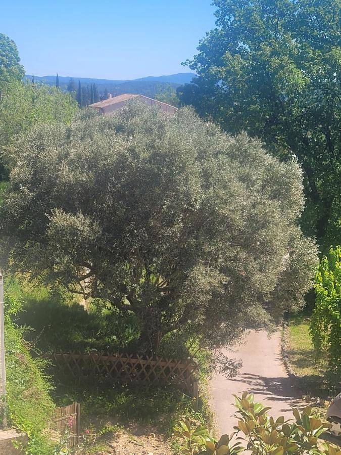 Chambre d’hôte pour 2 personnes, avec terrasse et vue à Lorgues - 2