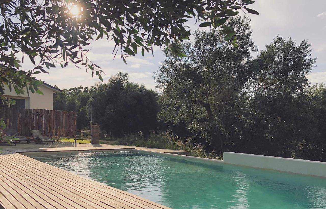 Agriturismo Casette del Forno in Montalto di Castro, Provincia di Viterbo