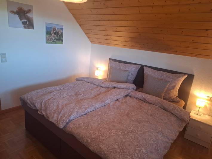 Gîte pour 3 personnes, avec balcon, animaux acceptés à Münstertal - 4
