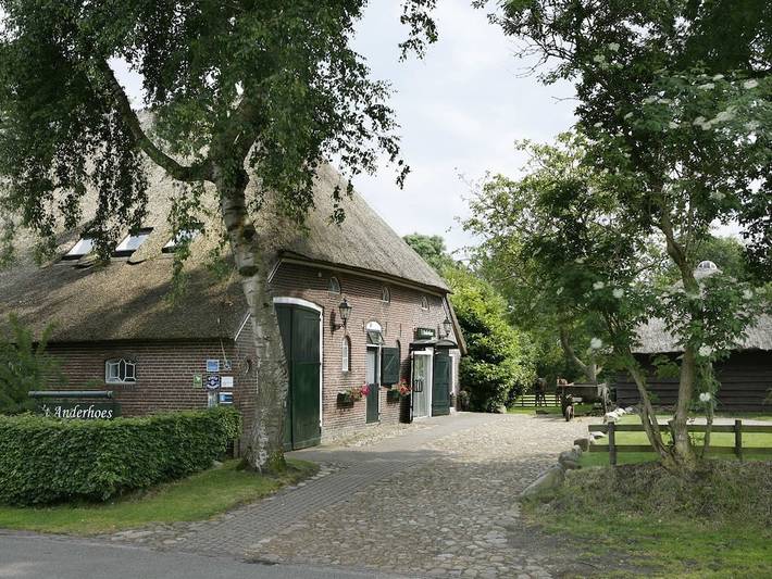 Ferienhaus für 34 Personen, mit Garten - 1