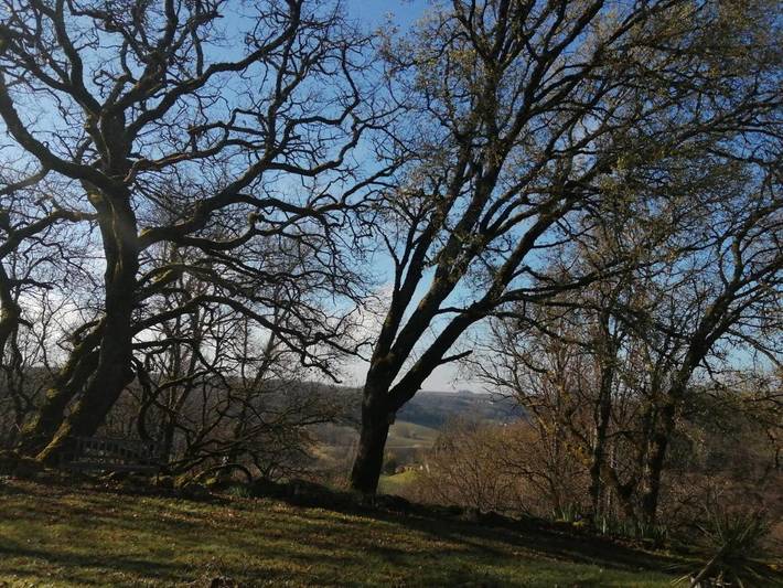 Maison de campagne pour 3 personnes, avec jardin ainsi que vue et piscine à Saint-Beauzeil - 4