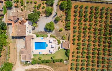 Finca in Felanitx, Mallorca Süden für 12 