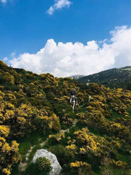 Gîte pour 2 personnes, avec jacuzzi à Sahorre - 3