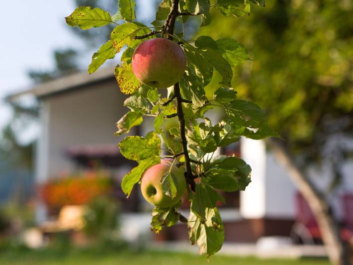 Ferienhaus für 8 Personen, mit Garten an den Plitvicer Seen - 3
