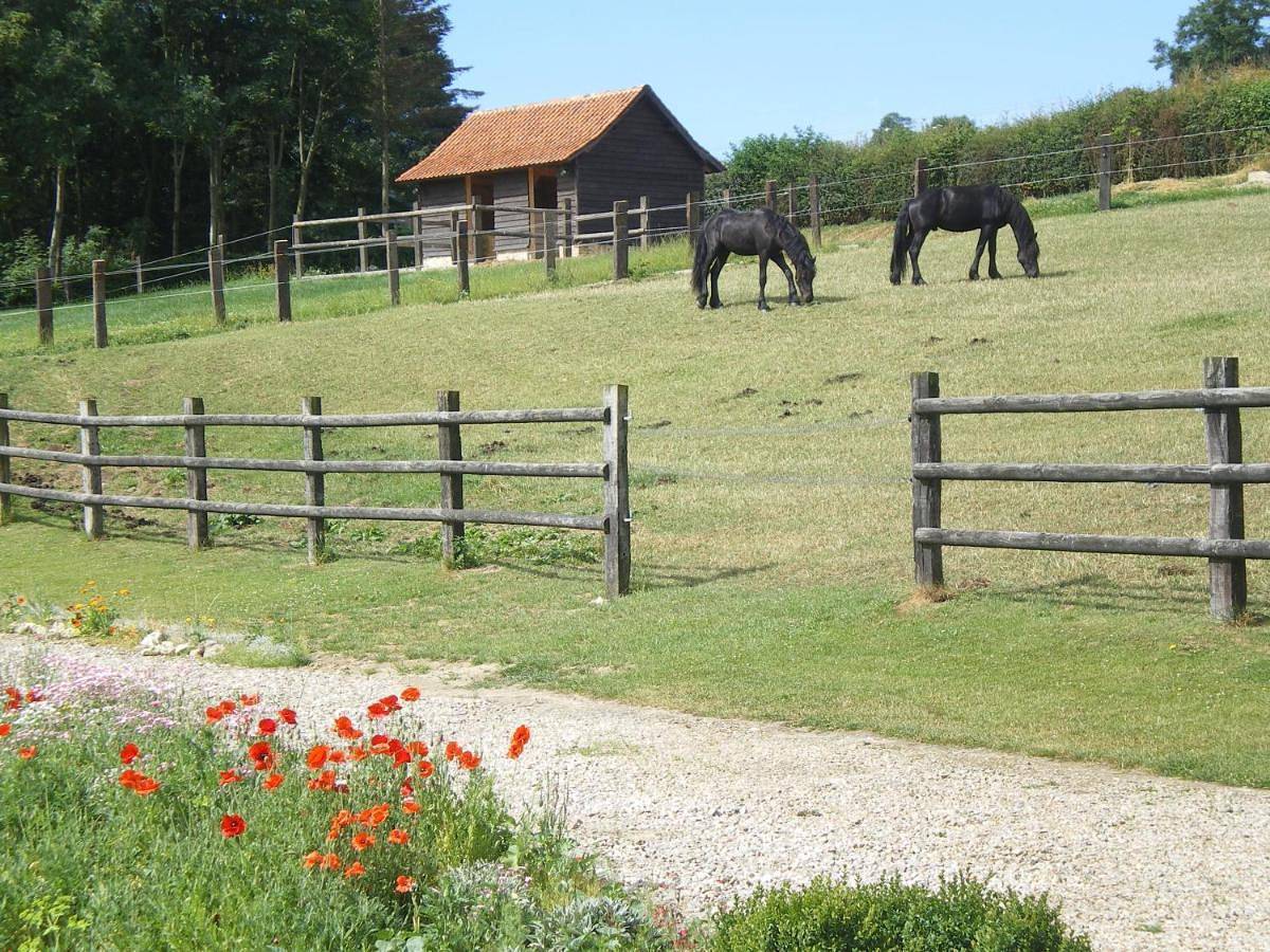 Ferme des tilleuls in Bezinghem, Région de Montreuil