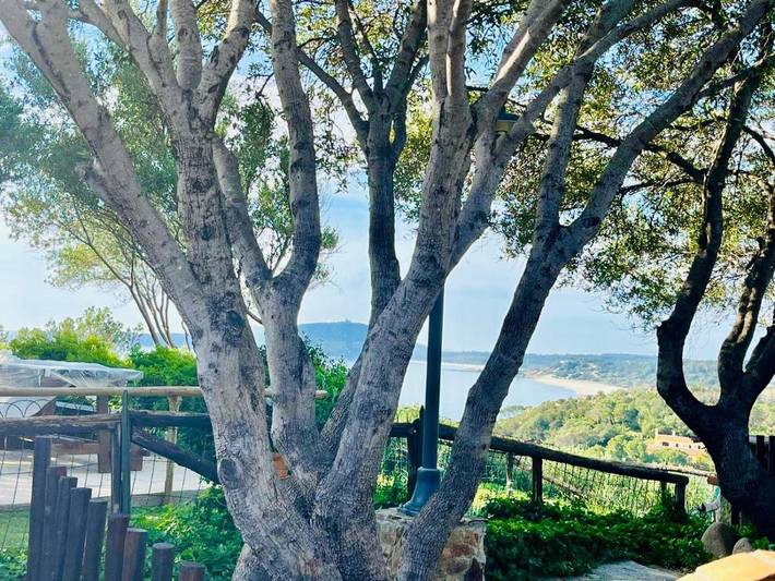 Ferienhaus für 5 Personen, mit Garten und Ausblick - 1