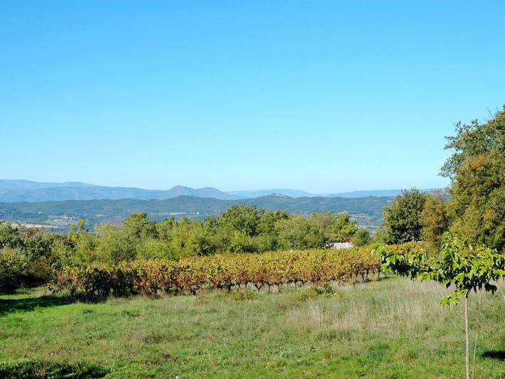 Location de vacances pour 4 personnes, avec jardin ainsi que vue et terrasse, animaux acceptés à Barjac - 4