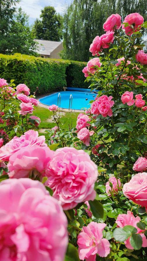 Ferienhaus für 6 Personen, mit Terrasse und Garten sowie Pool und Ausblick in Löbau - 4