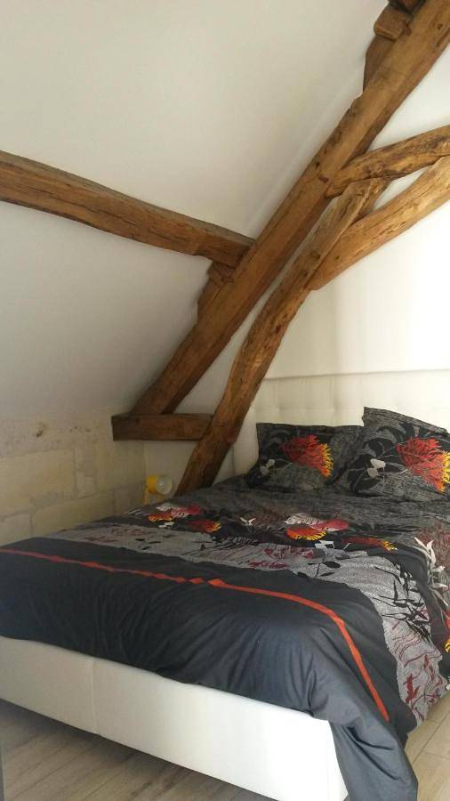 Location de vacances pour 10 personnes, avec jardin à Saint-Aignan - 4
