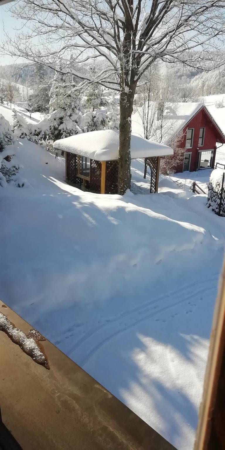 Ganze Ferienwohnung, Pension am Steinberg in Altenberg, Mittlere Erzgebirge