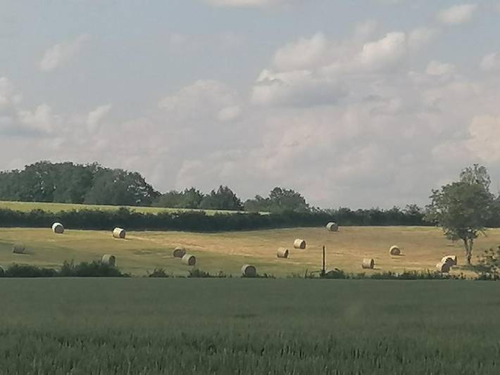 Location de vacances pour 10 personnes, avec vue et jardin à Vicq-sur-Nahon - 2