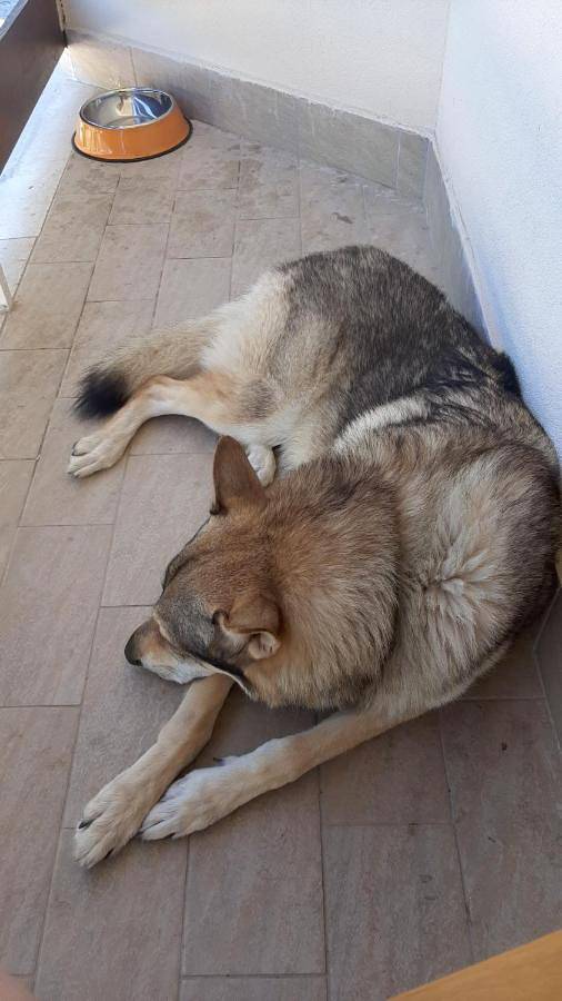 Gîte pour 2 personnes, avec balcon et vue, animaux acceptés à Rieti - 4