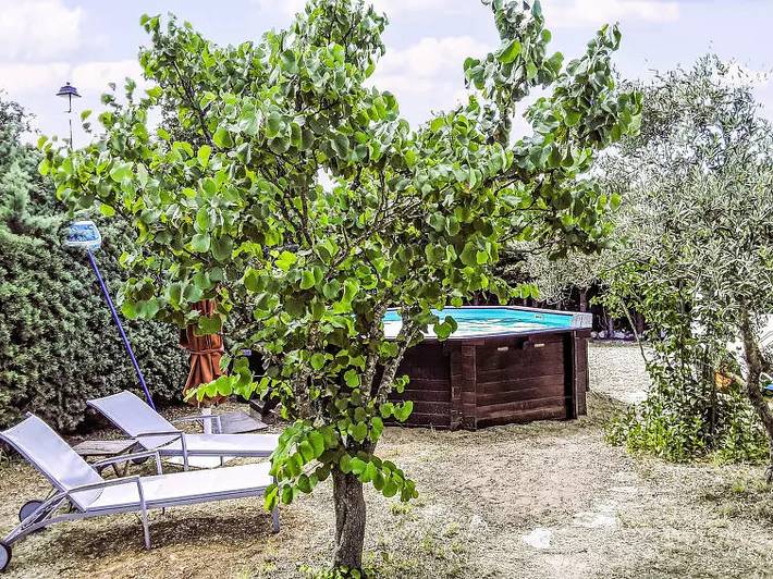 Location de vacances pour 4 personnes, avec piscine et jardin dans Colorado provençal - 4