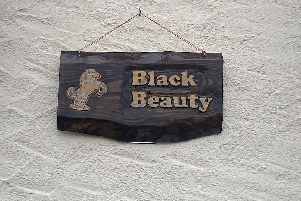 2-Bett-Appartement Black Beauty, Dusche/Wc - Apartments Lilienhof in Burg Eltz, Münstermaifeld