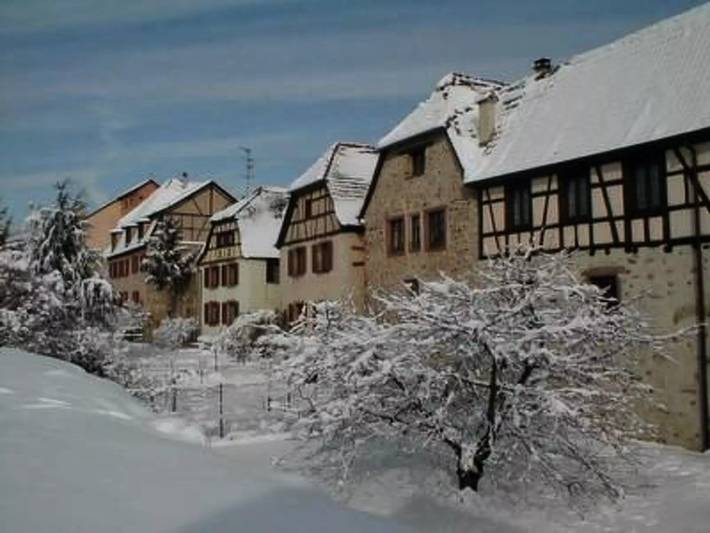 Location de vacances pour 2 personnes, avec jardin à Bergheim - 2