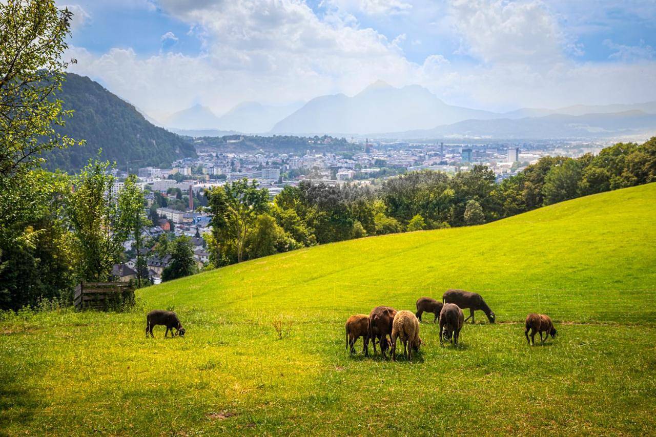 Ganze Wohnung, Stadtbauernhof Salzburg - Ferienwohnung - Gut Unterleithen - farm & the city in Salzburg, DMO Demo Region_1