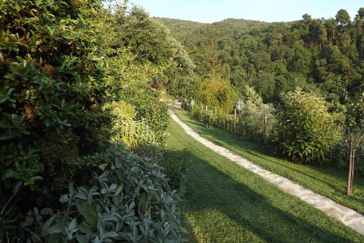 Chambre d’hôte pour 5 personnes, avec jacuzzi et jardin à Greve In Chianti - 2